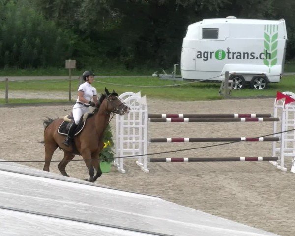 Reitturnier Gossau 2024