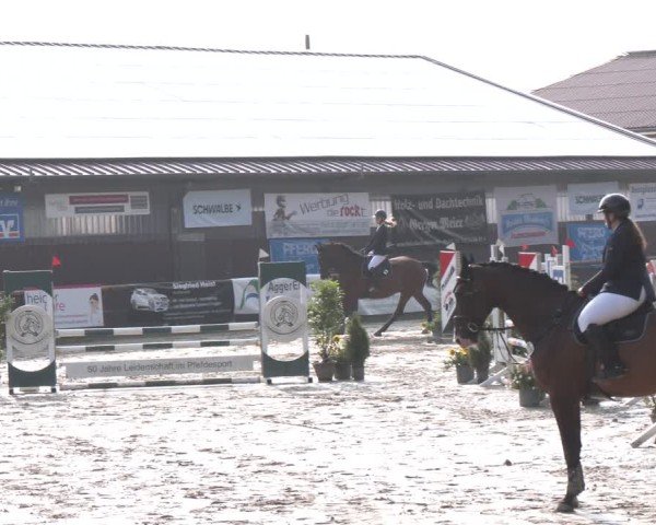 Reitturnier Marienheide-Kempershöhe 2024