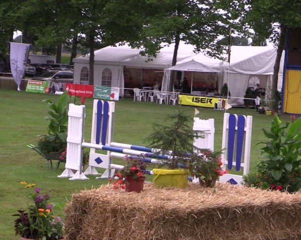 Reitturnier Zobbenitz 2024