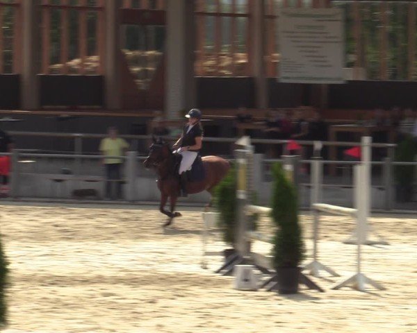 Reitturnier Ennigerloh-Neubeckum 2024