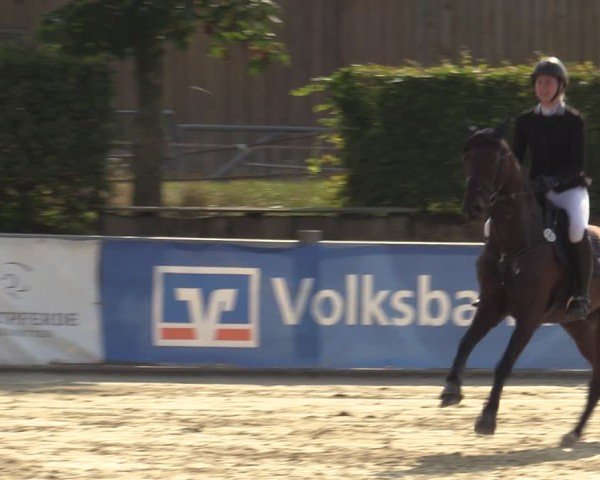 Reitturnier Ennigerloh-Neubeckum 2024