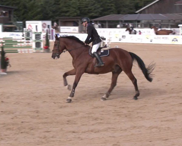 Reitturnier Ranshofen - Braunau am Inn 2024