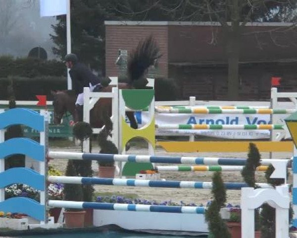 Lenklarer Reitertage auf der Reitsportanlage Gripshöver 2013
