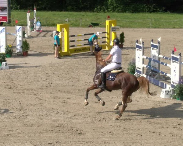 Reitturnier Gossau 2024