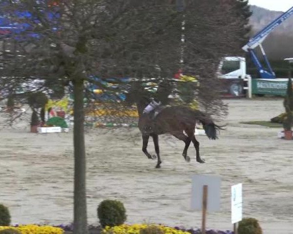 Lenklarer Reitertage auf der Reitsportanlage Gripshöver 2013