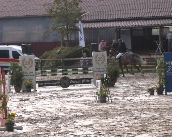 Reitturnier Marienheide-Kempershöhe 2024