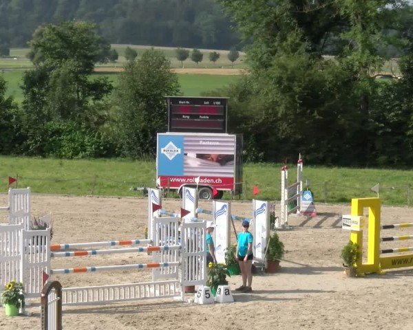 Reitturnier Gossau 2024