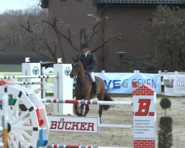 Reitturnier Werne-Lenklar 2013
