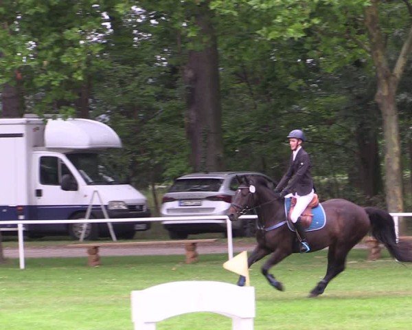Reitturnier Zobbenitz 2024