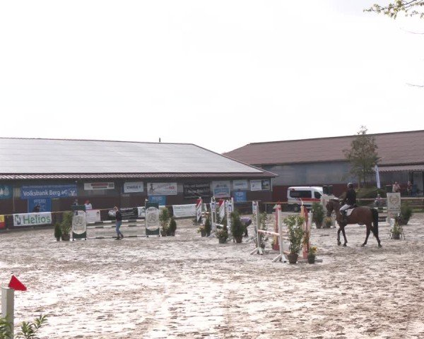 Reitturnier Marienheide-Kempershöhe 2024