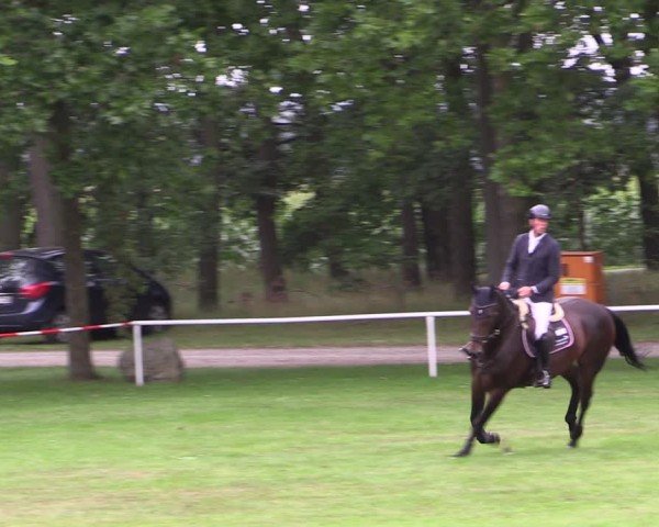 Reitturnier Zobbenitz 2024