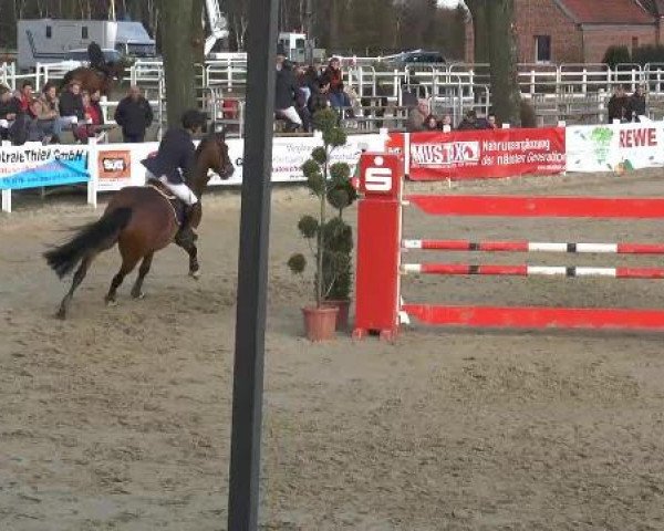 Lenklarer Reitertage auf der Reitsportanlage Gripshöver 2013