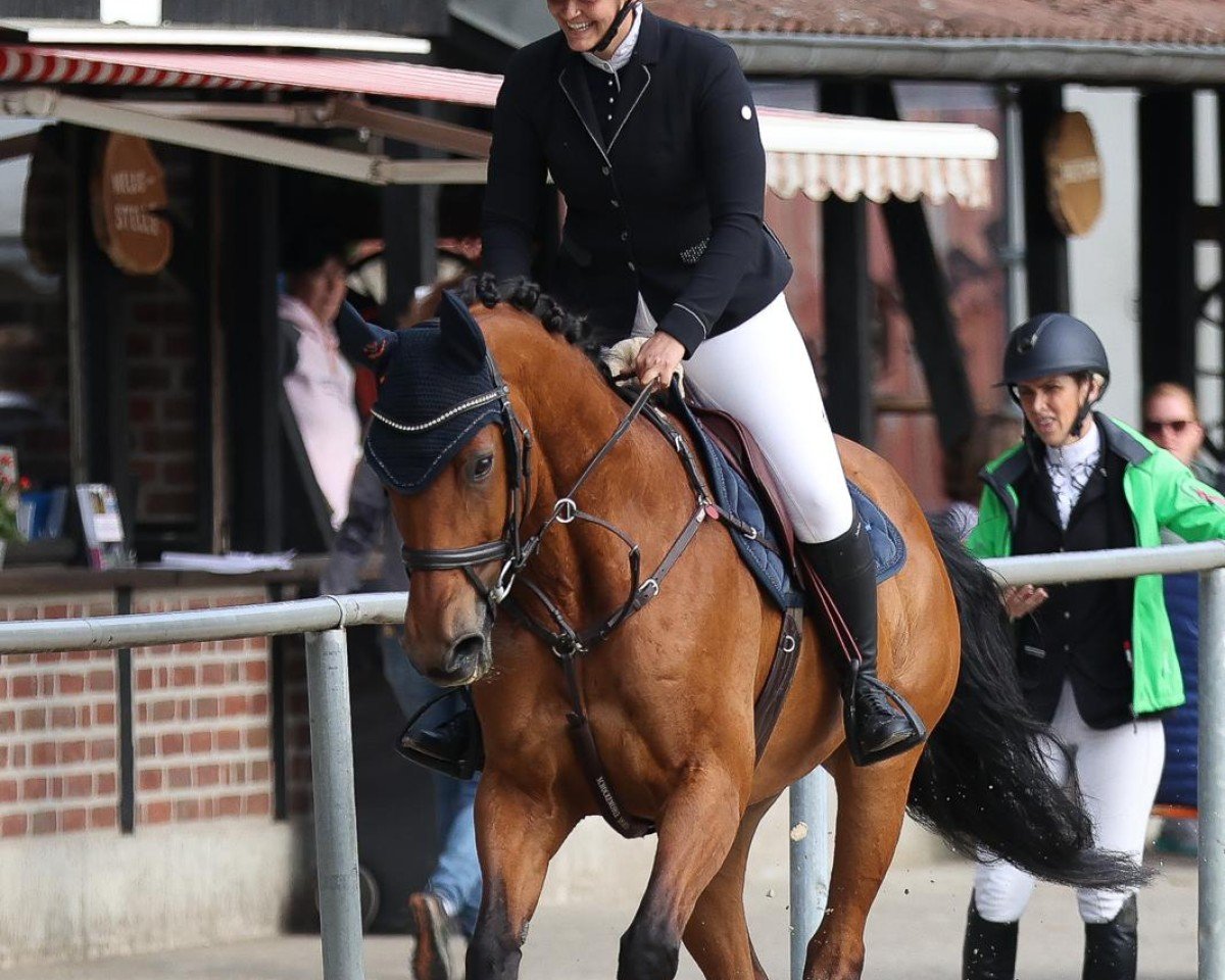 jumper Canturo's Cookie (Westphalian, 2008, from Canturo)