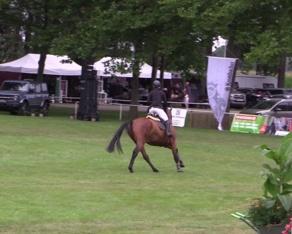 Reitturnier Zobbenitz 2024