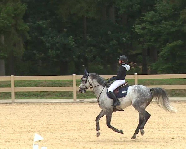 Reitturnier Tiefenhof/Opf. 2024