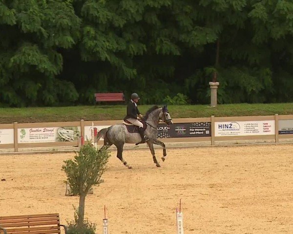 Reitturnier Tiefenhof/Opf. 2024