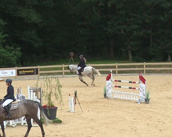 Reitturnier Tiefenhof/Opf. 2024