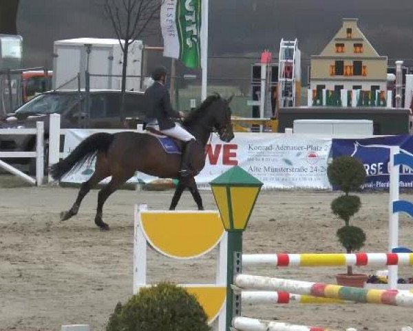 Lenklarer Reitertage auf der Reitsportanlage Gripshöver 2013