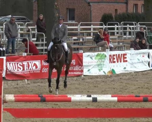Lenklarer Reitertage auf der Reitsportanlage Gripshöver 2013