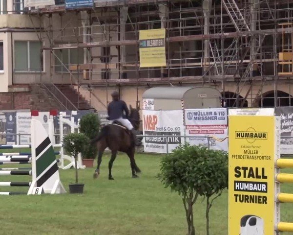 Reitturnier Bad Kissingen/Ufr. 2024