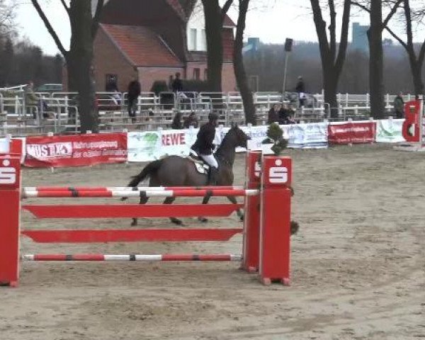 Reitturnier Werne-Lenklar 2013