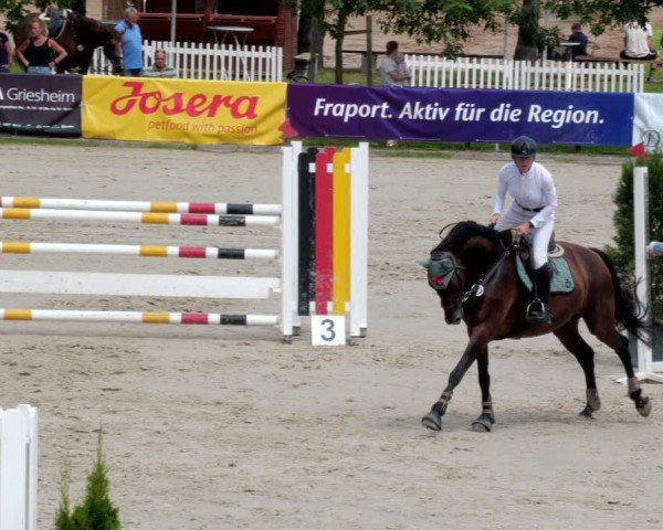 Reitturnier Groß-Zimmern 2024