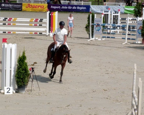 Reitturnier Groß-Zimmern 2024