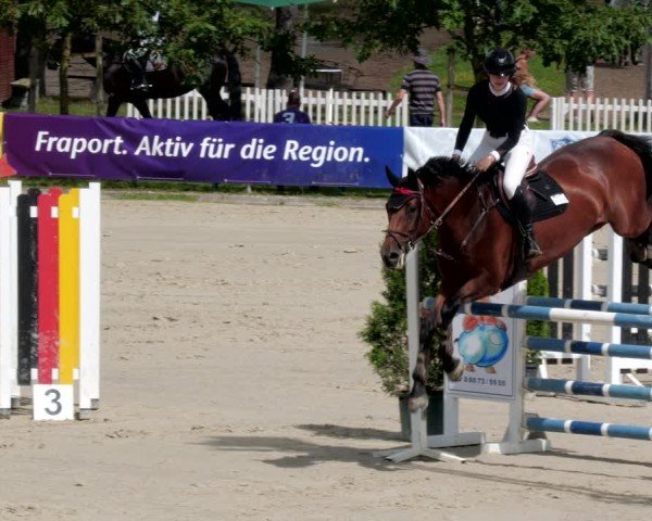 Reitturnier Groß-Zimmern 2024