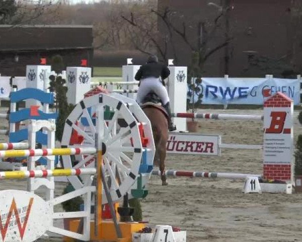Reitturnier Werne-Lenklar 2013