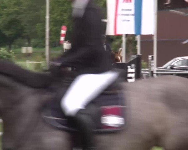 Reitturnier Bad Kissingen/Ufr. 2024