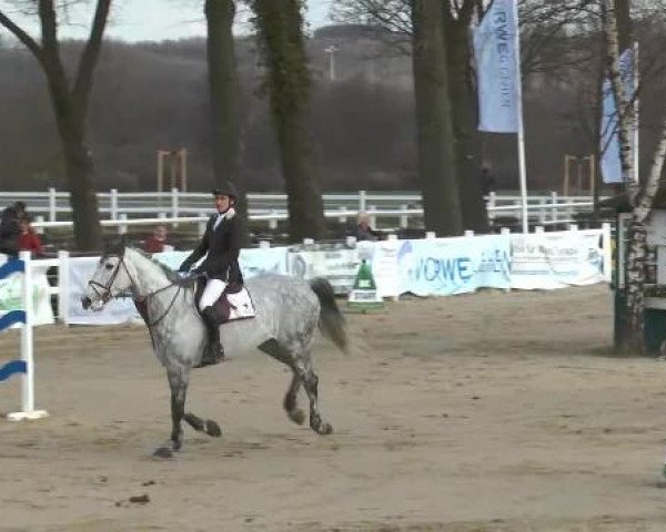 Lenklarer Reitertage auf der Reitsportanlage Gripshöver 2013