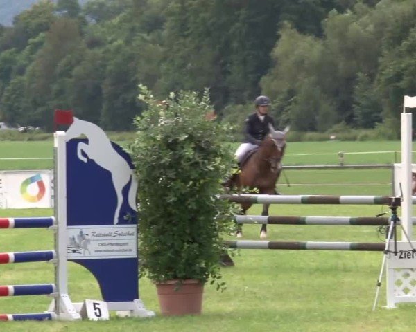 Reitturnier Bad Kissingen/Ufr. 2024