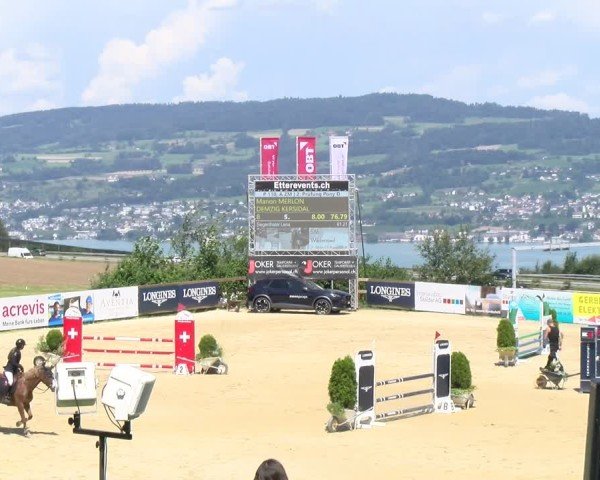 Reitturnier Wädenswil 2024