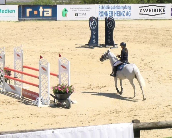 Reitturnier Wädenswil 2024