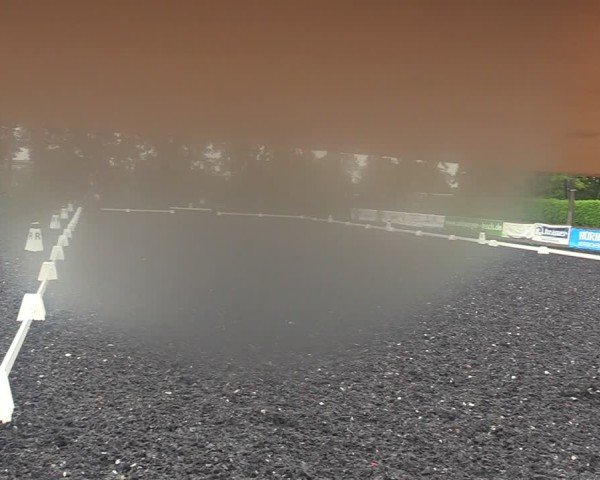 Reitturnier Röhrsdorf/ Chemnitz 2024