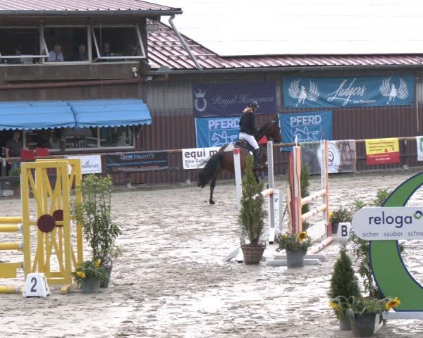 Reitturnier Marienheide-Kempershöhe 2024
