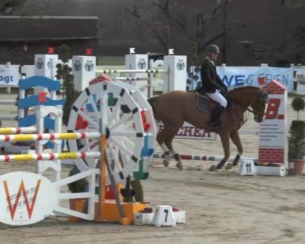 Lenklarer Reitertage auf der Reitsportanlage Gripshöver 2013