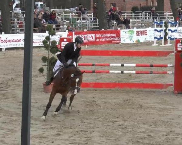 Lenklarer Reitertage auf der Reitsportanlage Gripshöver 2013