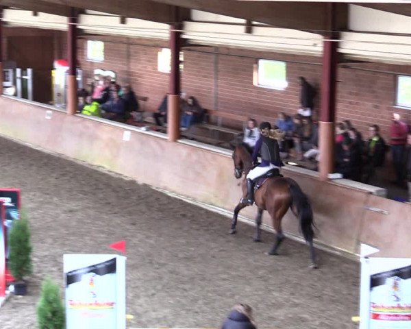Reitturnier Herzebrock-Rheda 2021
