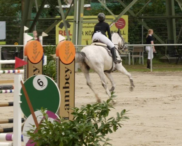 Reitturnier Mannheim-Friedrichsfeld 2024