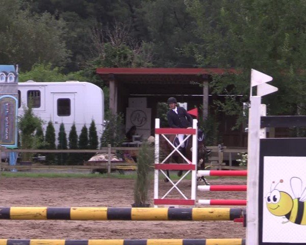 Reitturnier Altlandsberg 2024