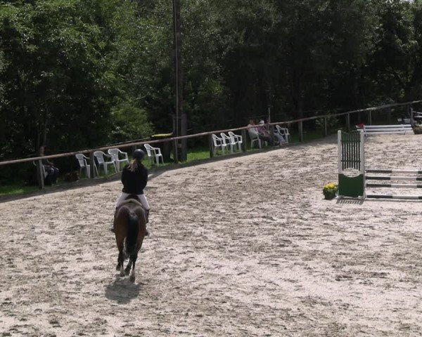 Reitturnier Monschau-Mützenich 2024
