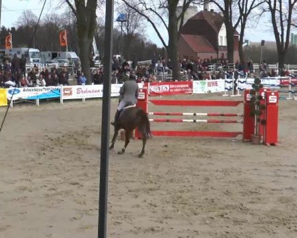 Reitturnier Werne-Lenklar 2013