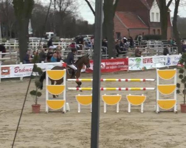 Lenklarer Reitertage auf der Reitsportanlage Gripshöver 2013