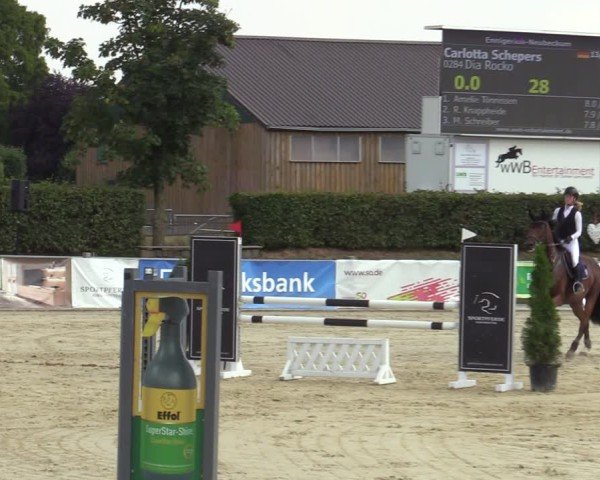 Reitturnier Ennigerloh-Neubeckum 2024