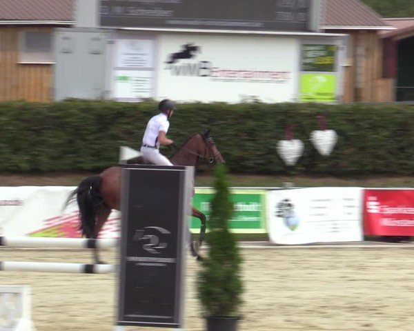 Reitturnier Ennigerloh-Neubeckum 2024