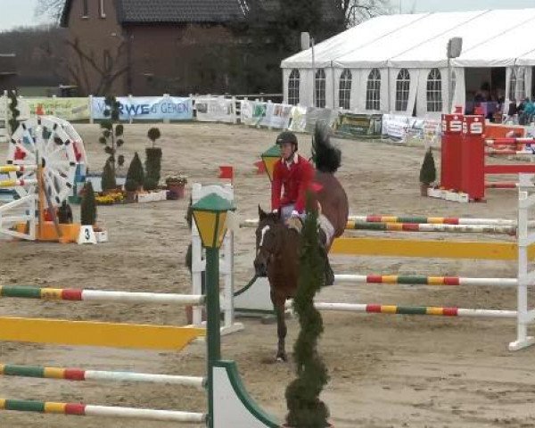 Lenklarer Reitertage auf der Reitsportanlage Gripshöver 2013