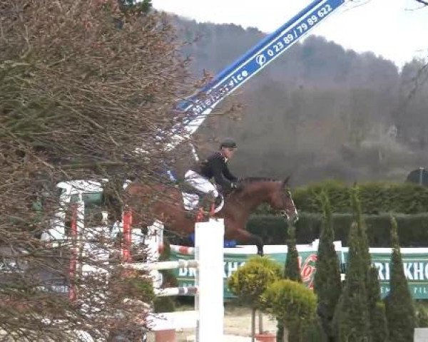 Reitturnier Werne-Lenklar 2013