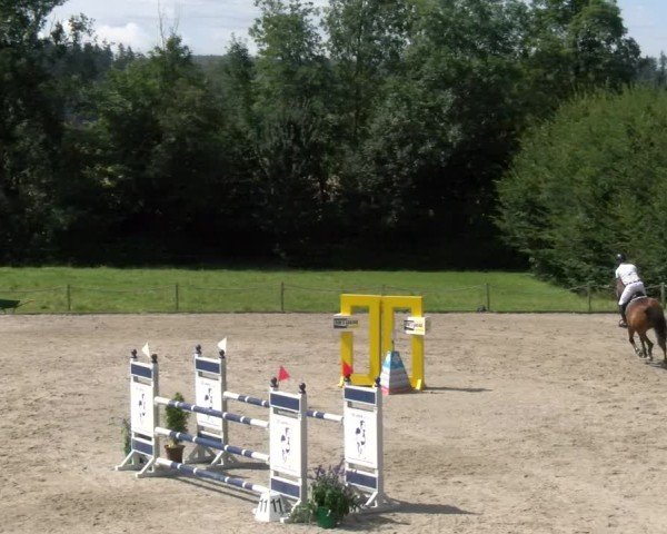Reitturnier Gossau 2024