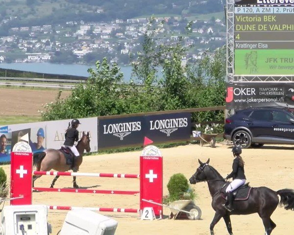 Reitturnier Wädenswil 2024